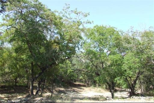 8235 San Fidel Way, Cross Mountain, TX 78255 - photo 1