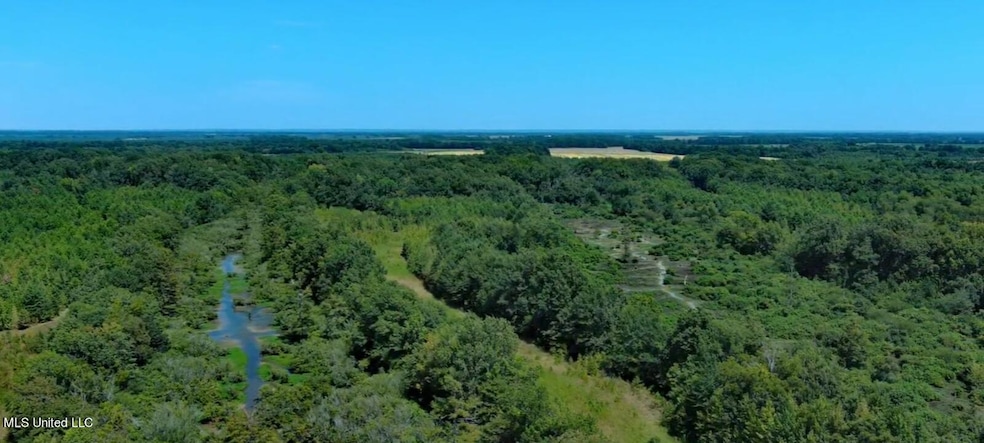 Picture of the Property Looking East