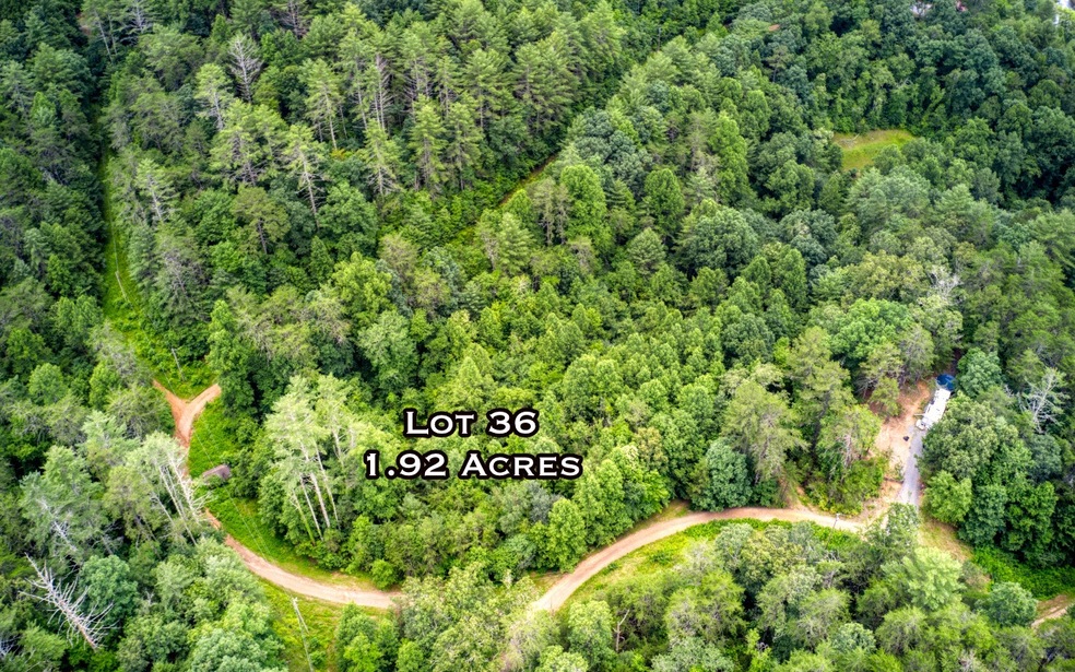 LOT36 Bear Cub Trail, Mineral Bluff, GA 30559 - photo 1
