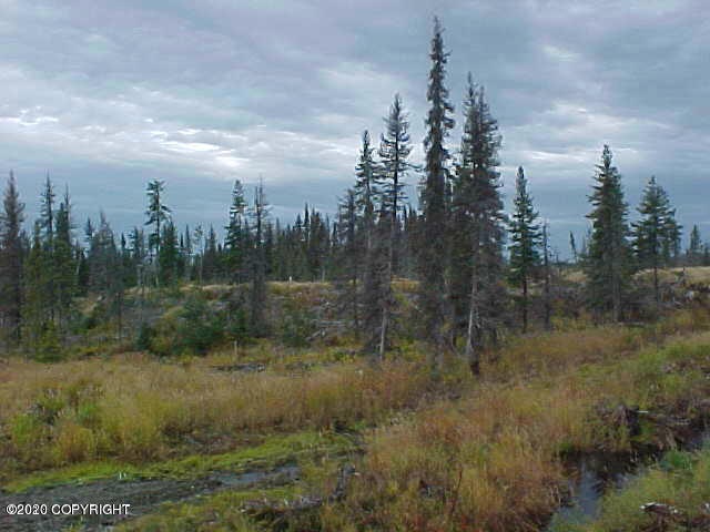2013 Photo 1