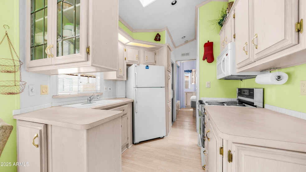 Golden Vista 196 Kitchen