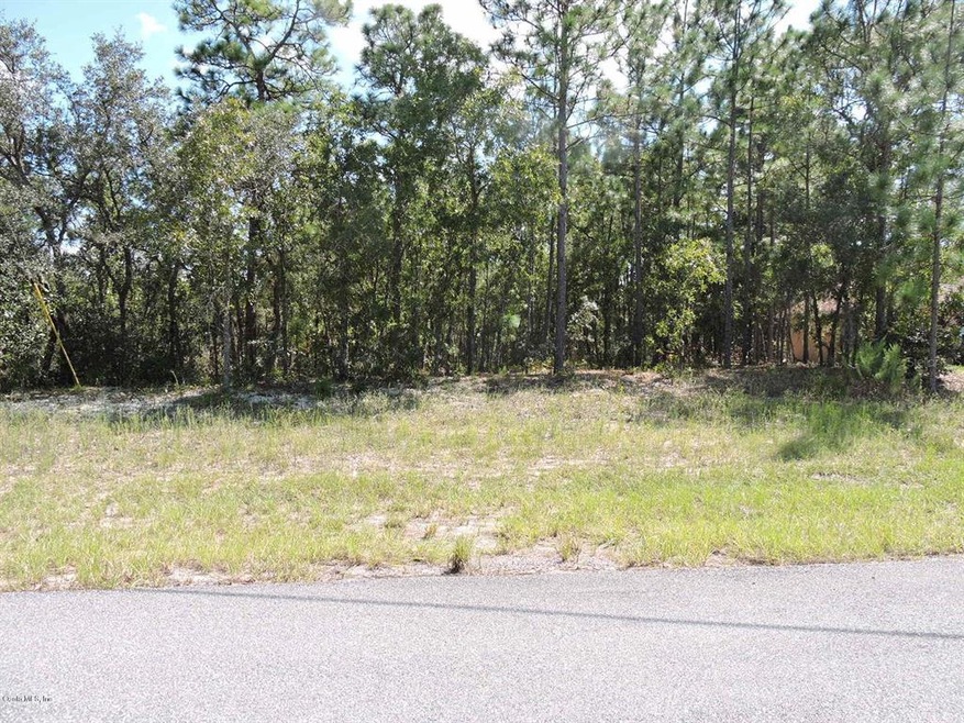 3766 W Galleon St, Citrus Springs, FL 34433 - photo 1