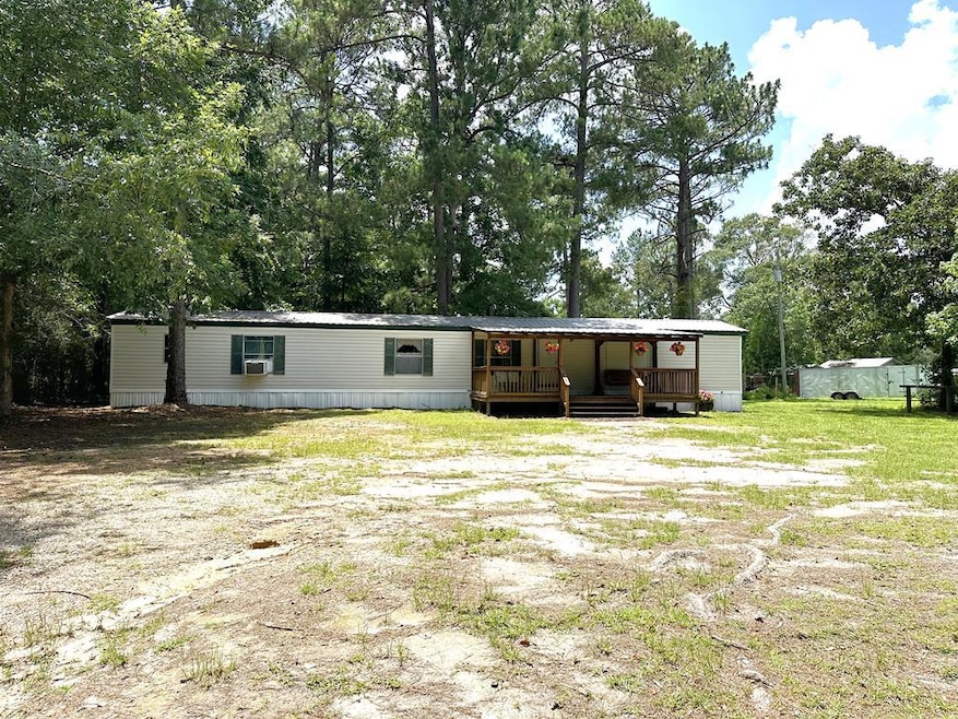 Main View
