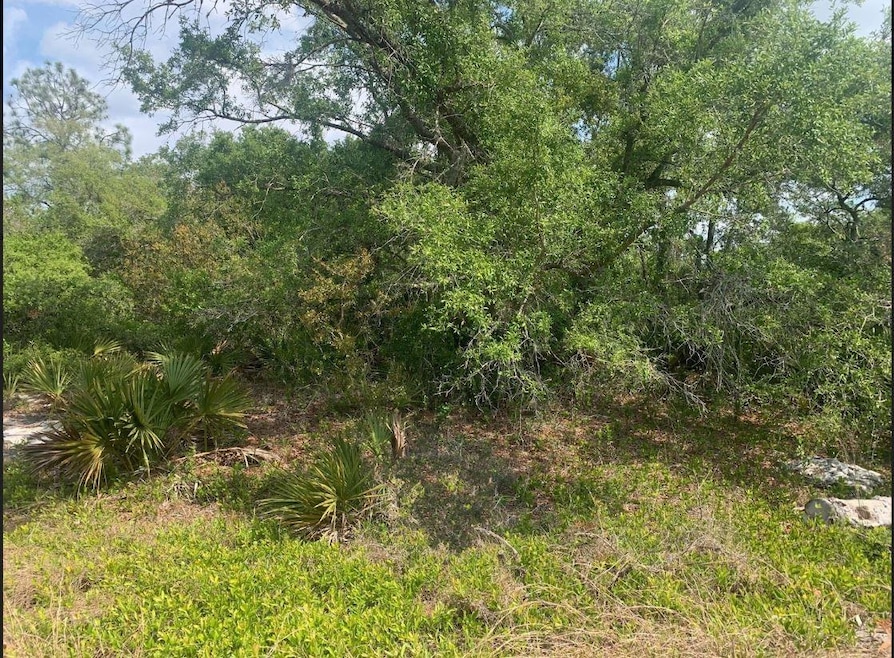 104 Louise Ln, Lake Placid, FL 33852 - photo 1