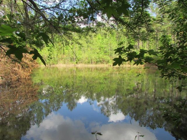 2957 Old Doerun Rd, Moultrie, GA 31768 - photo 1