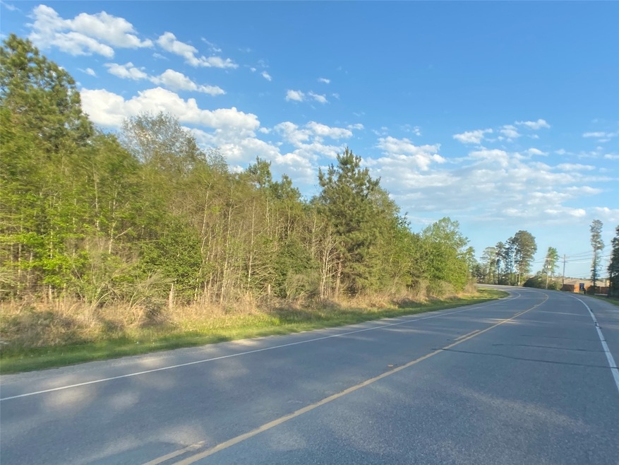 16888 E West Ln, Conroe, TX 77306 - photo 1