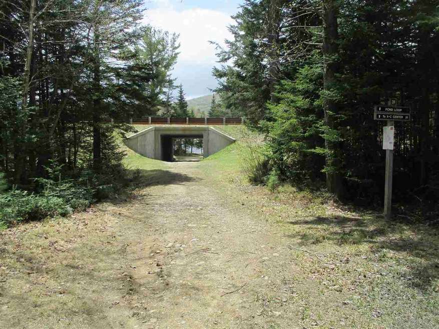 30 Moose Run, Waterville Valley, NH 03215 - photo 1