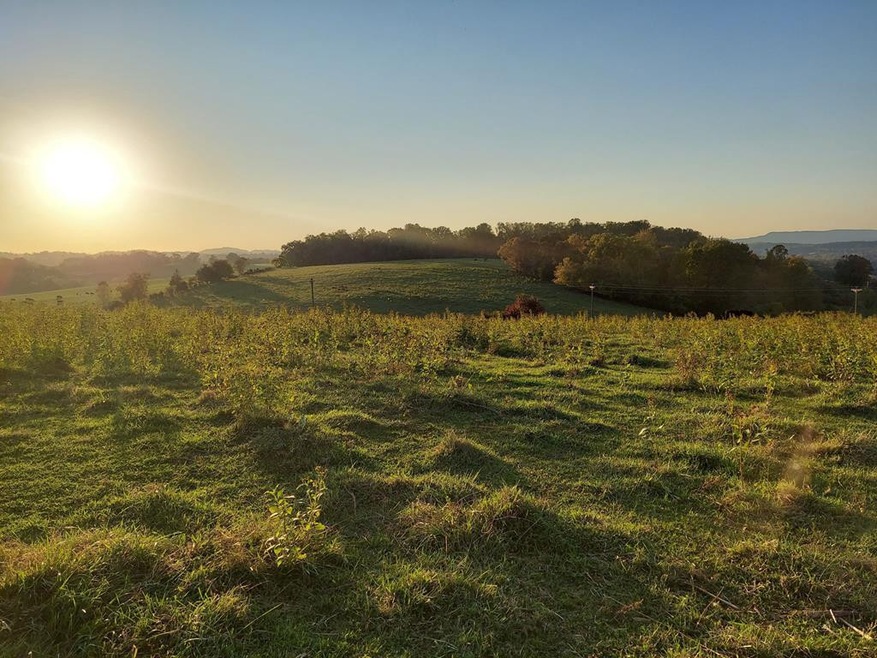 48.5 Acres Owl Hole Gap Rd, Rutledge, TN 37861 - photo 1