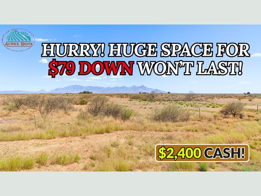 Deming Lun unit a New Mexico, Sunshine, NM 88030 - photo 1