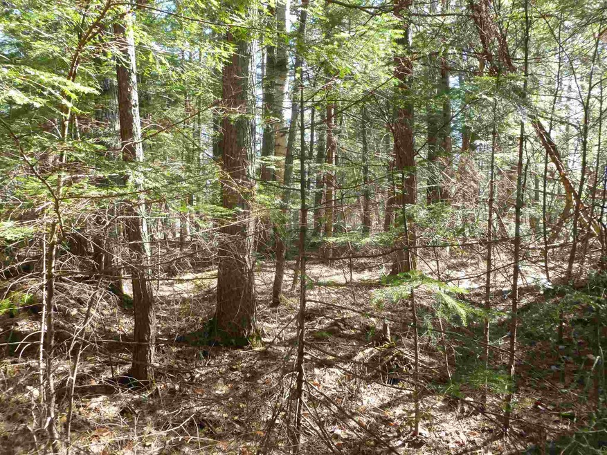 Map 42 Lot 328 Bristol Rd, Barnstead, NH 03225 - photo 1
