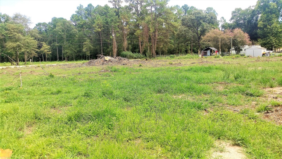 12798 Pinebrook Dr, Plantersville, TX 77363 - photo 1