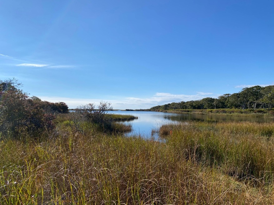 2 Swan Neck Rd, Edgartown, MA 02539 - photo 1