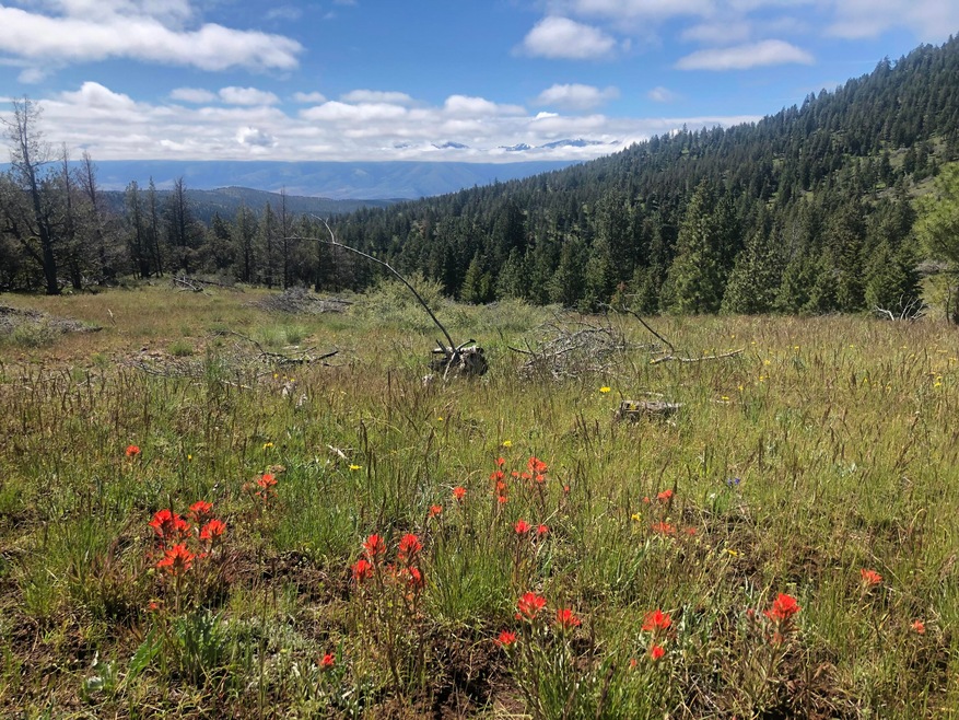 0 Hwy 26 unit 220148254, Mount Vernon, OR 97865 - photo 1