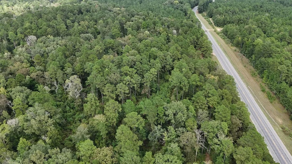 Ebenezer Tap Rd, Trout, LA 71371 - photo 1