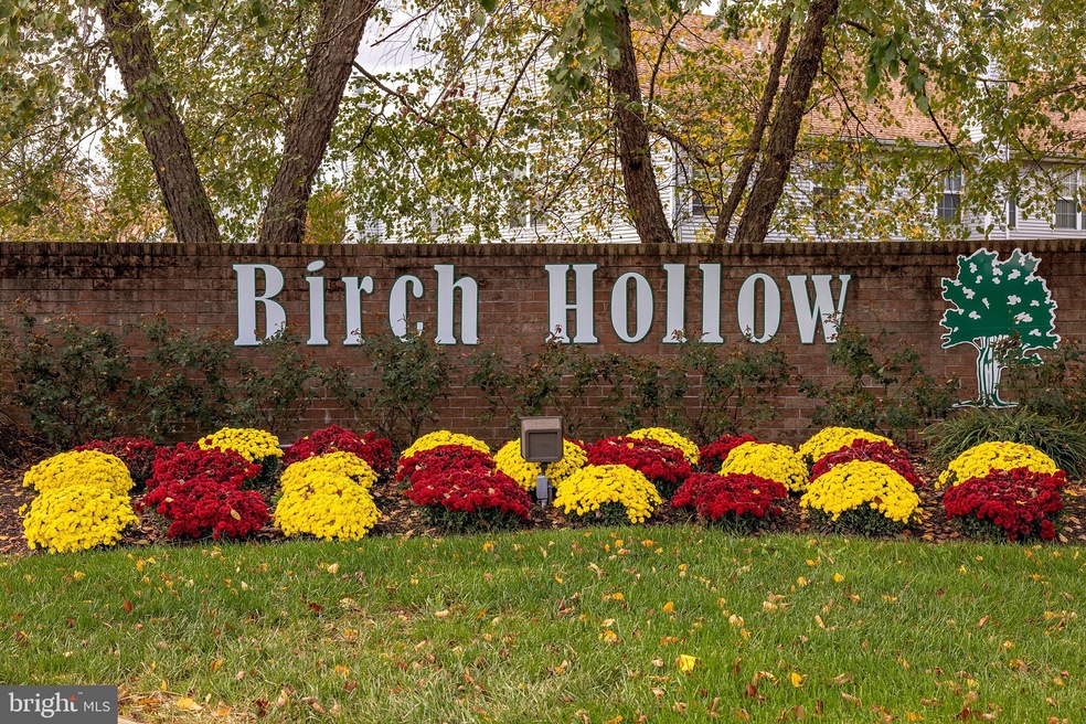 311 Birch Hollow Dr unit 221, Bordentown, NJ 08505 - photo 1