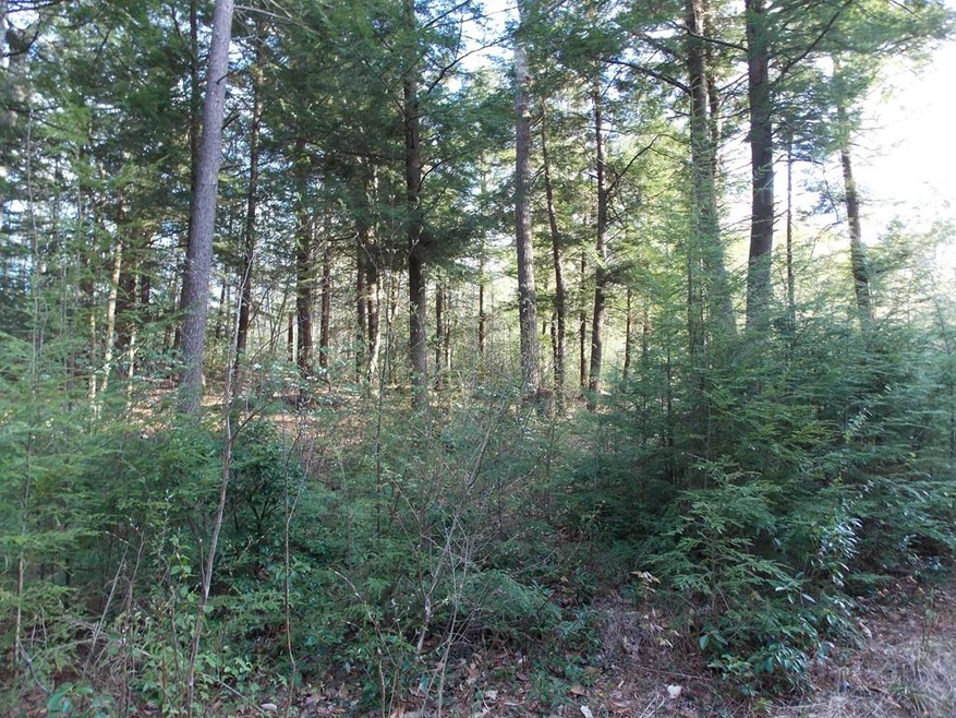 Lot B New Templeton Rd, Hubbardston, MA 01452 - photo 1