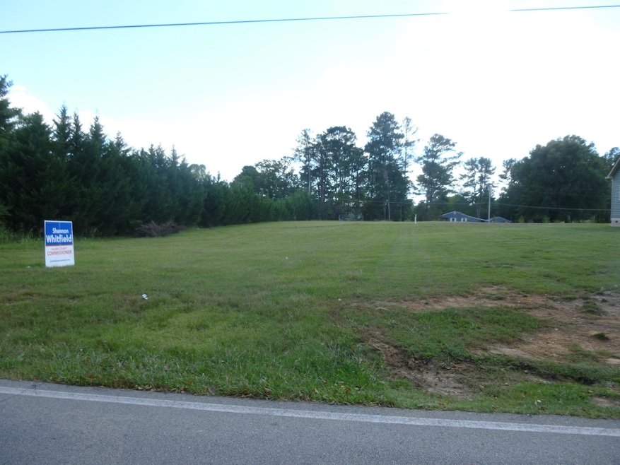 Lot 4 Peavine Rd, Rock Spring, GA 30739 - photo 1