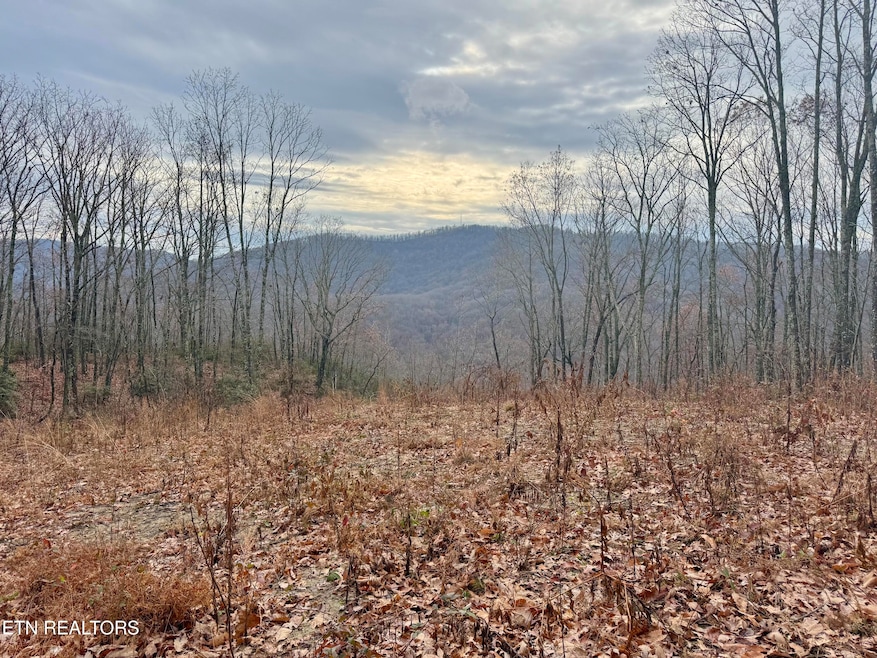 183 Persimmon Ln, Pioneer, TN 37847 - photo 1