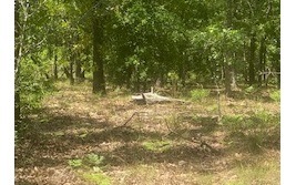 0 SW Briar Patch Terra unit 107511, Fort White, FL 32038 - photo 1