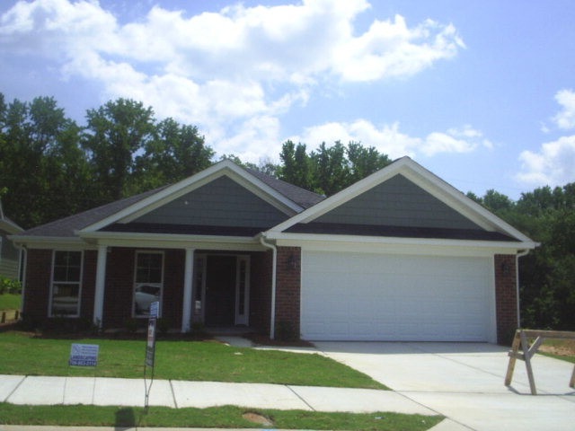 Main View