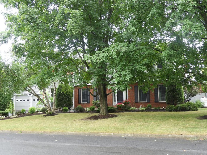 Main View