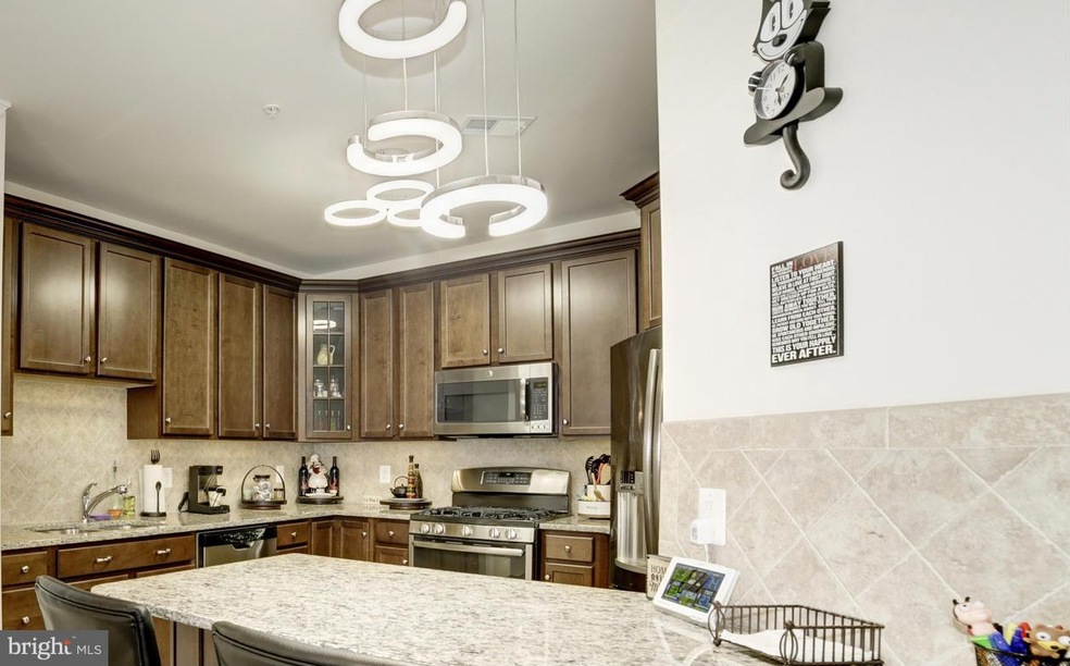 24636 Woolly Mammoth Terrace unit 306, Aldie, VA 20105 - photo 1