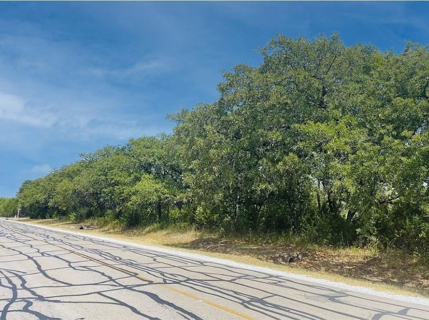 12199 Rolling Oaks Dr, Whitney, TX 76692 - photo 1