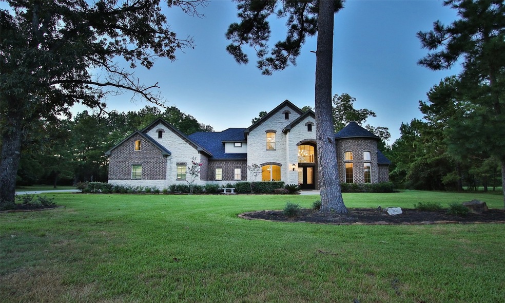 29013 Village Ridge Ct, Magnolia, TX 77355 - photo 1