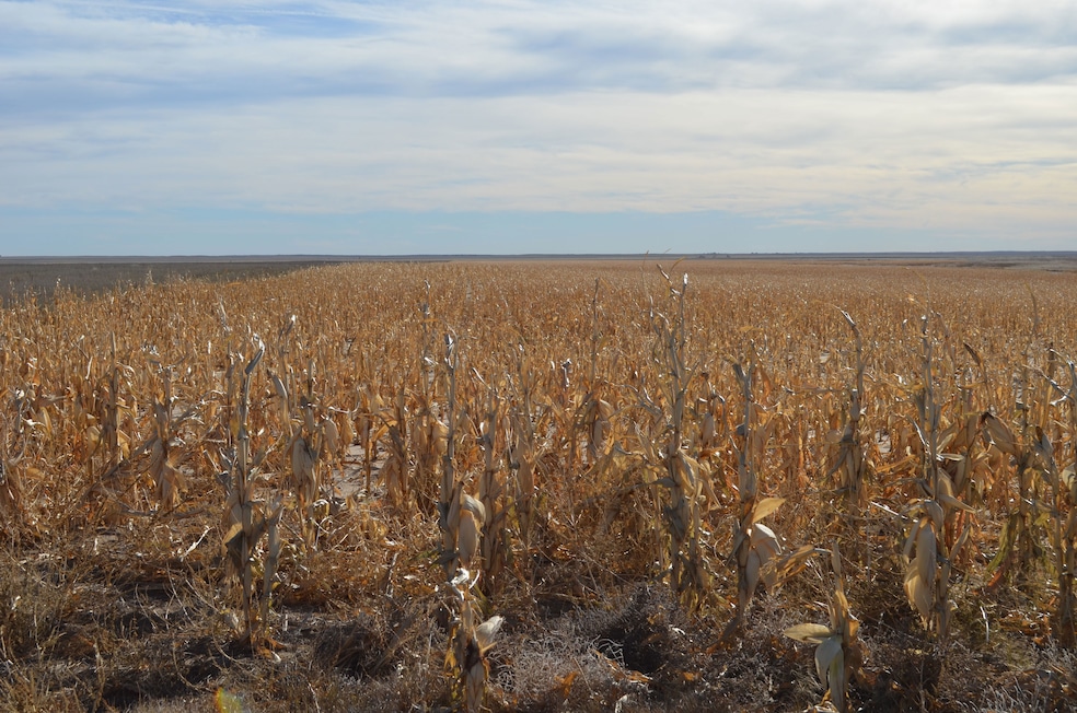 County Road V, Kit Carson, CO 80825 - photo 1