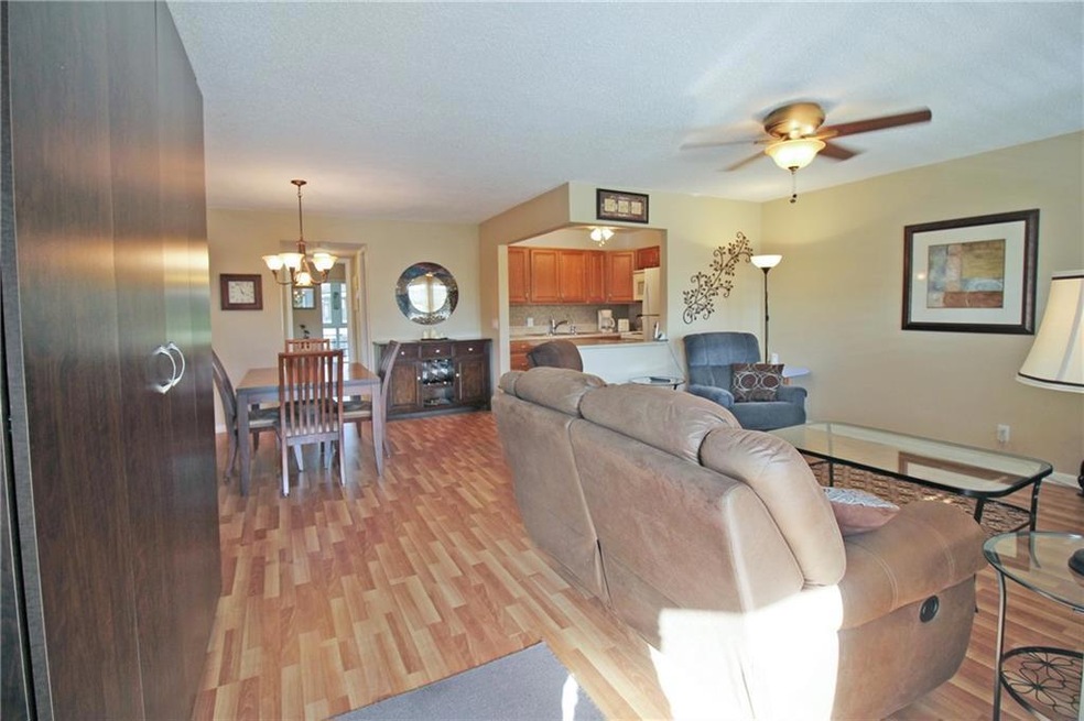 Living Area w/ Open Kitchen