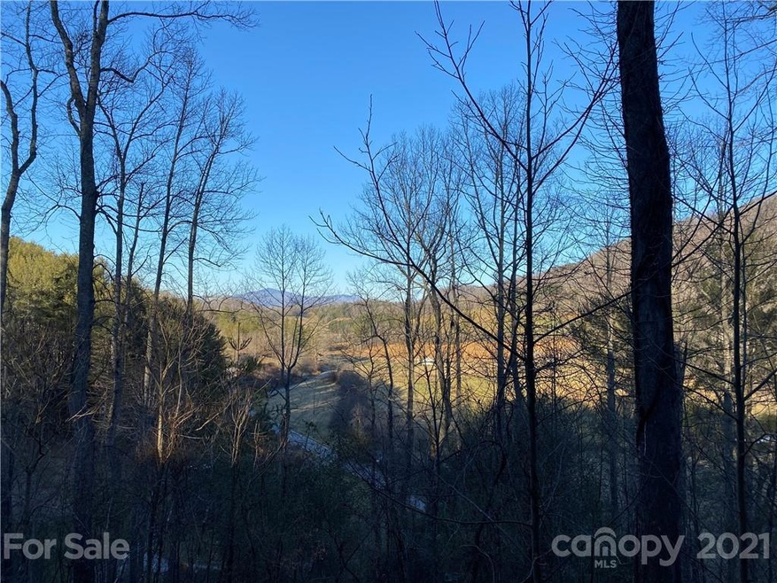 Lot 7 Riverside Hills Rd unit 7, Burnsville, NC 28714 - photo 1