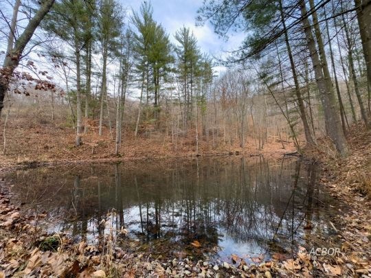 14418 State Route 93 S, Logan, OH 43138 - photo 1