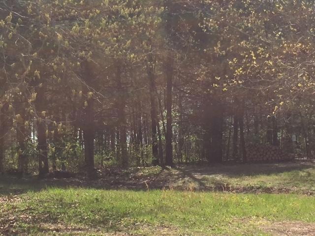 Lot 4 Hoot Owl Pt 4th Addn, Kimberling City, MO 65686 - photo 1