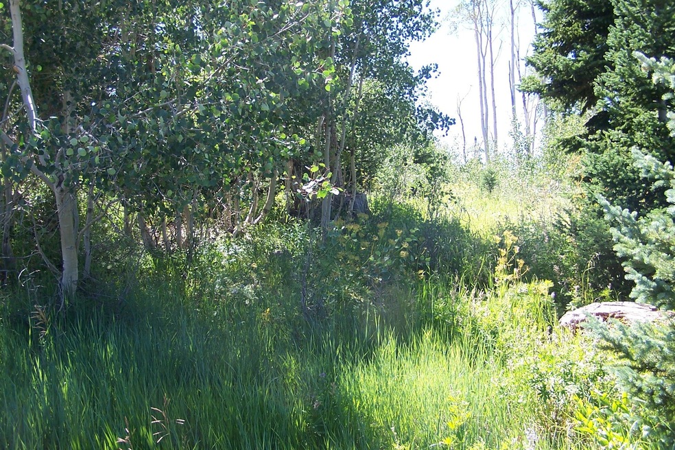 Sorlie properties 004