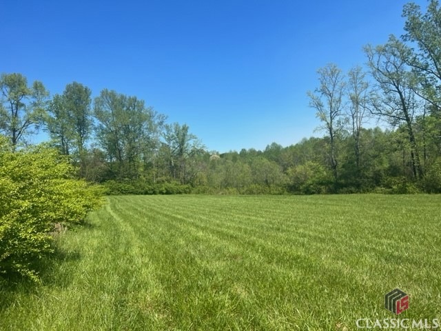 Lush grass with creek