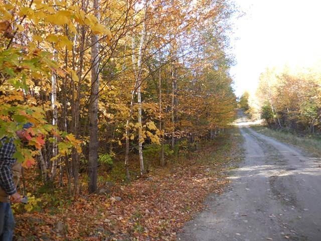 124 Fern Rd, Dover-Foxcroft, ME 04426 - photo 1