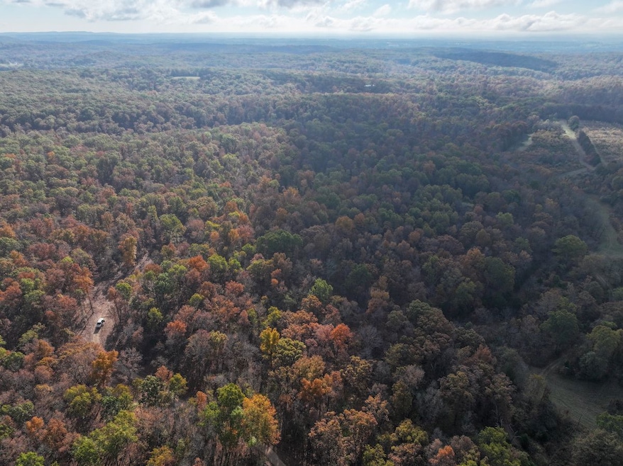 0 Tower Rd unit Lot WP001 22284674, Big River Township, MO 63628 - photo 1