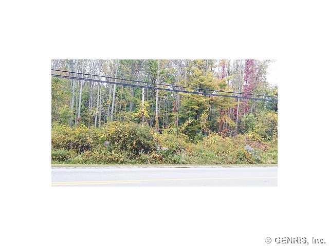 Land/Lot