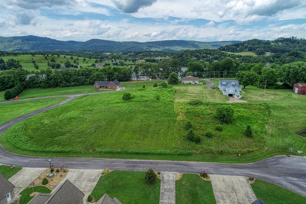 Overview of lots.