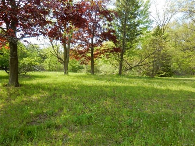 Lots of room for a home with a row of mature red m
