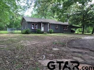 308 Peterson Rd, Kilgore, TX 75662 - photo 1