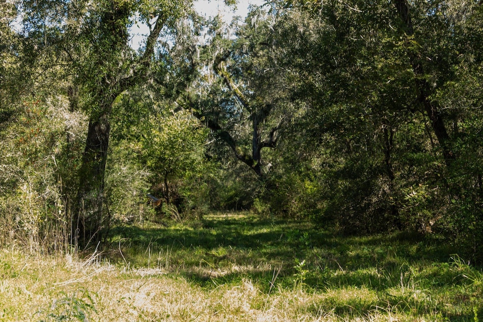 0000 County Road 611, Angleton, TX 77515 - photo 1