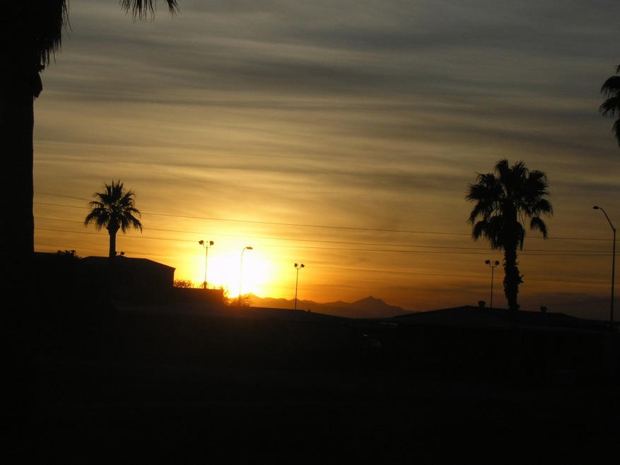 Back Yard Sunset #2!!