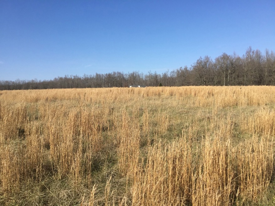 0 Fredonia Rd unit RTC2527162, Manchester, TN 37355 - photo 1