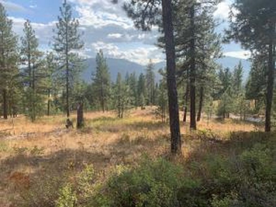 708 Palmer Ln, Chewelah, WA 99109 - photo 1