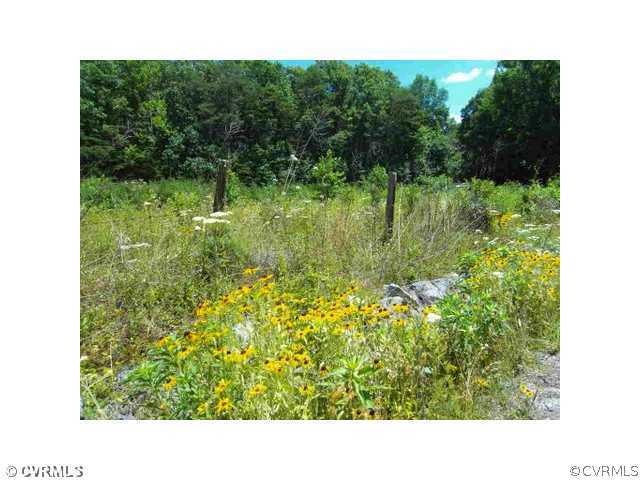 0 Shockey Lane Hwy unit 1127989, Caroline, VA 22546 - photo 1