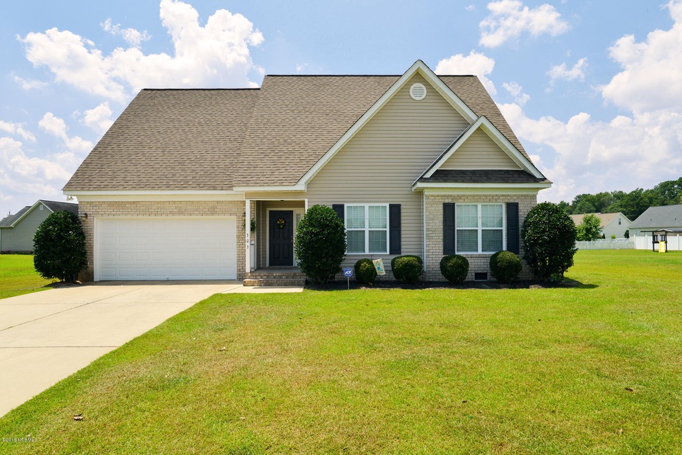 303 Brogden Ct, Winterville, NC 28590 - photo 1