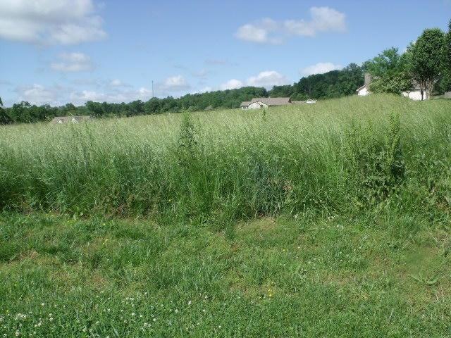 DSCF4431 (1)