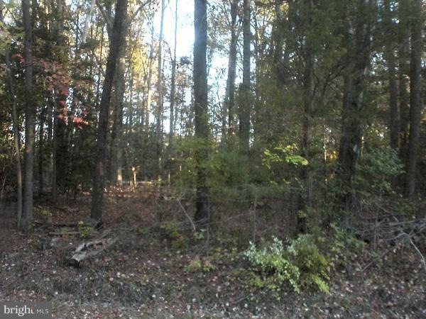 8 Nicholson Dr, Oak Grove, VA 22443 - photo 1