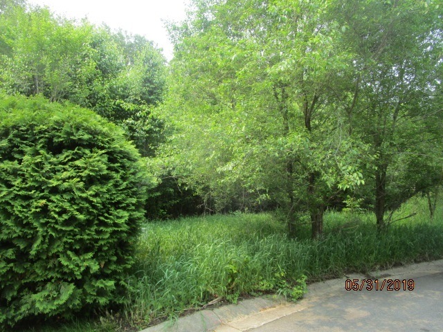 51395 Colleen Ct unit 28, Granger, IN 46530 - photo 1